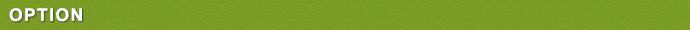 オプション